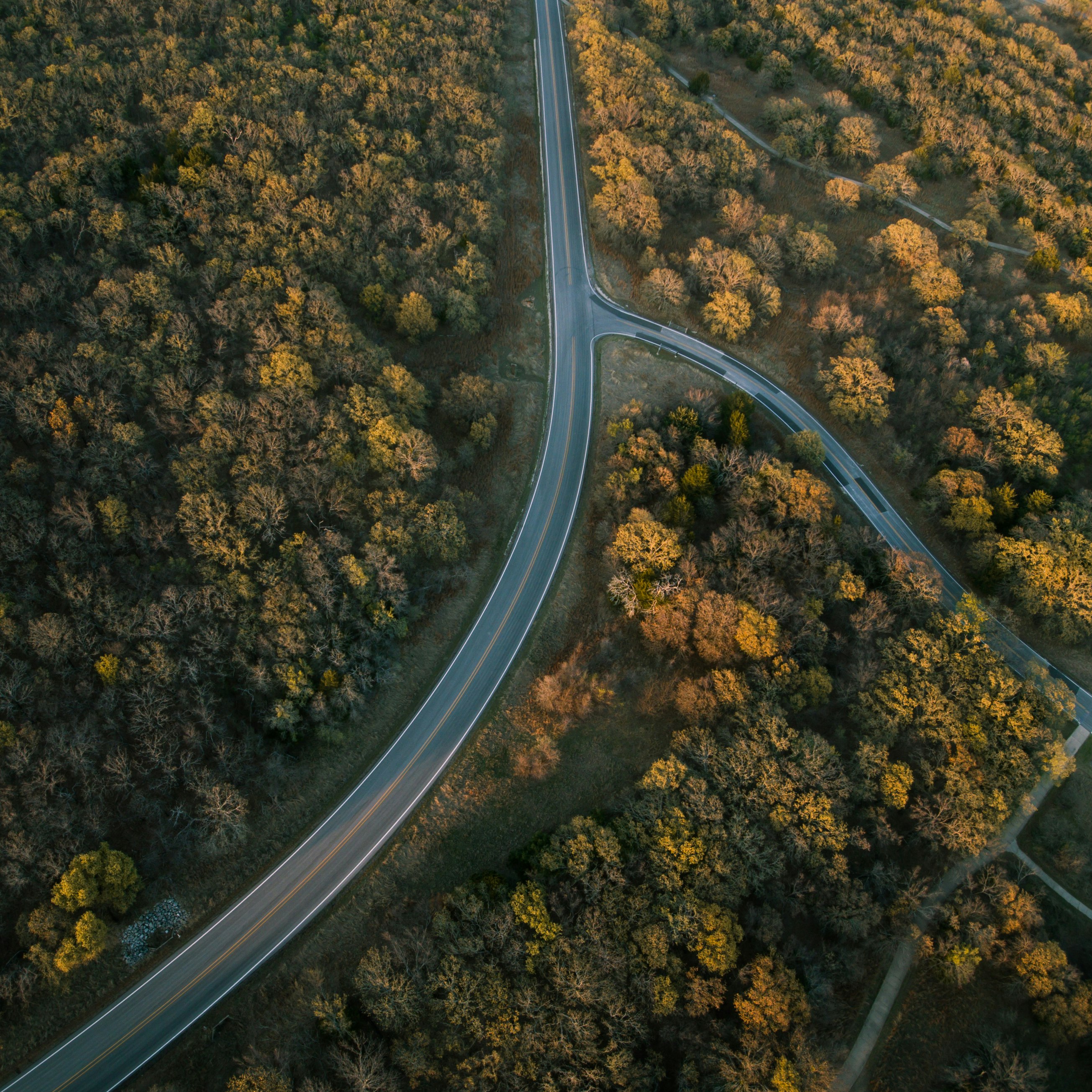 aerial photography of road and trees